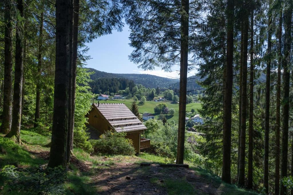 Charmant Chalet Cosy & Paisible En Pleine Nature - Refuge Idyllique Pour 5P Gérardmer Buitenkant foto